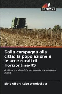 bokomslag Dalla campagna alla città: la popolazione e le aree rurali di Horizontina-RS