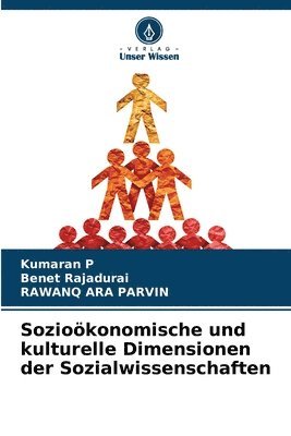 bokomslag Sozioökonomische und kulturelle Dimensionen der Sozialwissenschaften