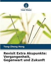 bokomslag Revisit Extra Akupunkte: Vergangenheit, Gegenwart und Zukunft