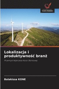 bokomslag Lokalizacja i produktywno&#347;c bran&#380;