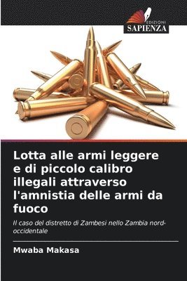 Lotta alle armi leggere e di piccolo calibro illegali attraverso l'amnistia delle armi da fuoco 1