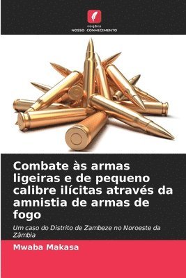 Combate às armas ligeiras e de pequeno calibre ilícitas através da amnistia de armas de fogo 1