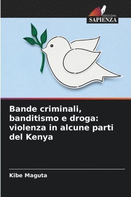 bokomslag Bande criminali, banditismo e droga: violenza in alcune parti del Kenya