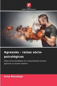 bokomslag Agressão - raízes sócio-psicológicas