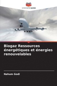 bokomslag Biogaz Ressources énergétiques et énergies renouvelables