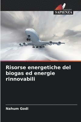 bokomslag Risorse energetiche del biogas ed energie rinnovabili