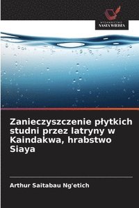 bokomslag Zanieczyszczenie plytkich studni przez latryny w Kaindakwa, hrabstwo Siaya