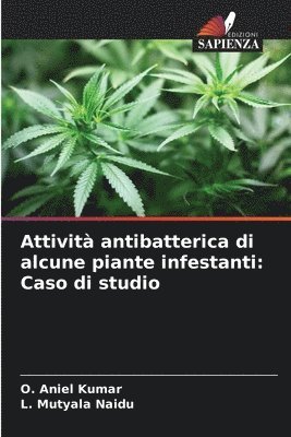 bokomslag Attivit antibatterica di alcune piante infestanti