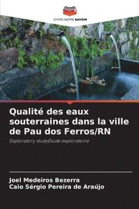 bokomslag Qualité des eaux souterraines dans la ville de Pau dos Ferros/RN