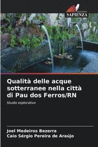 bokomslag Qualità delle acque sotterranee nella città di Pau dos Ferros/RN