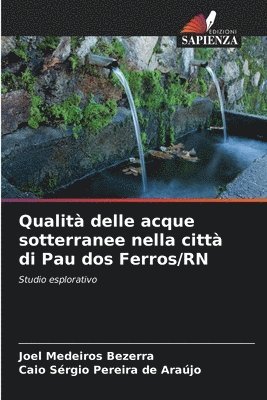 bokomslag Qualit delle acque sotterranee nella citt di Pau dos Ferros/RN