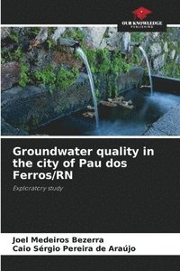 bokomslag Groundwater quality in the city of Pau dos Ferros/RN