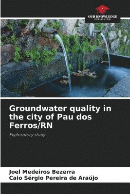 bokomslag Groundwater quality in the city of Pau dos Ferros/RN