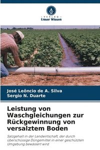 bokomslag Leistung von Waschgleichungen zur Rckgewinnung von versalztem Boden