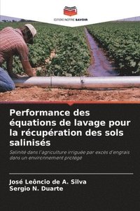 bokomslag Performance des équations de lavage pour la récupération des sols salinisés