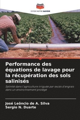 bokomslag Performance des quations de lavage pour la rcupration des sols saliniss