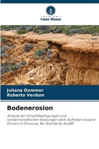 bokomslag Bodenerosion