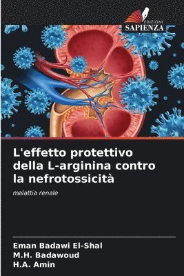 L'effetto protettivo della L-arginina contro la nefrotossicit 1