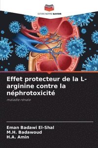 bokomslag Effet protecteur de la L-arginine contre la nphrotoxicit