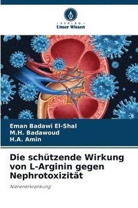 bokomslag Die schtzende Wirkung von L-Arginin gegen Nephrotoxizitt