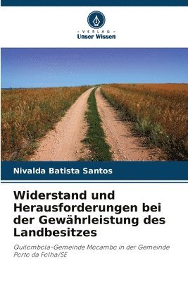 bokomslag Widerstand und Herausforderungen bei der Gewährleistung des Landbesitzes