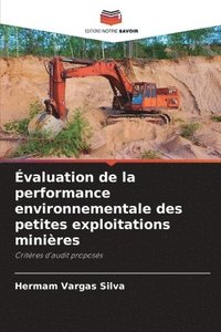 bokomslag valuation de la performance environnementale des petites exploitations minires