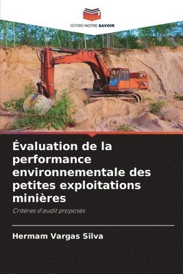 bokomslag valuation de la performance environnementale des petites exploitations minires