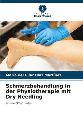 bokomslag Schmerzbehandlung in der Physiotherapie mit Dry Needling