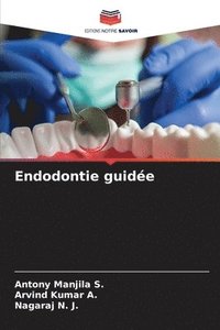 bokomslag Endodontie guide