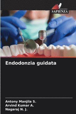 bokomslag Endodonzia guidata