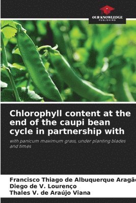 bokomslag Chlorophyll content at the end of the caupi bean cycle in partnership with