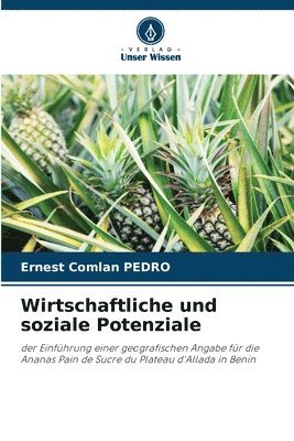 bokomslag Wirtschaftliche und soziale Potenziale