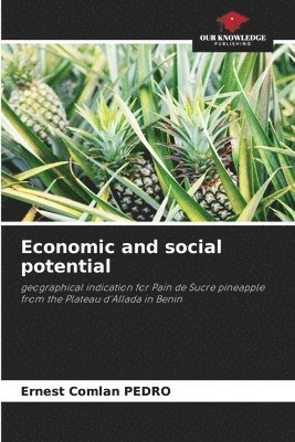 bokomslag Economic and social potential