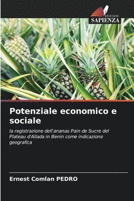 bokomslag Potenziale economico e sociale