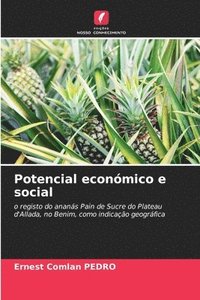 bokomslag Potencial econmico e social