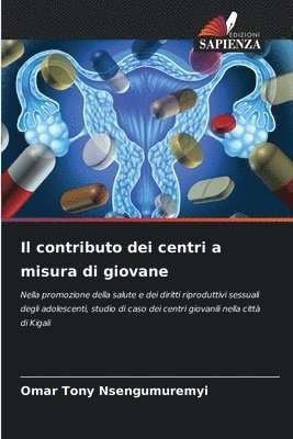 bokomslag Il contributo dei centri a misura di giovane