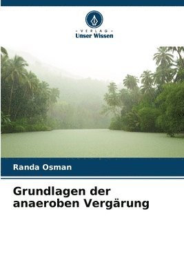 bokomslag Grundlagen der anaeroben Vergrung