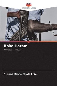 bokomslag Boko Haram