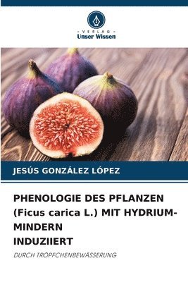 PHENOLOGIE DES PFLANZEN (Ficus carica L.) MIT HYDRIUM-MINDERN INDUZIIERT 1