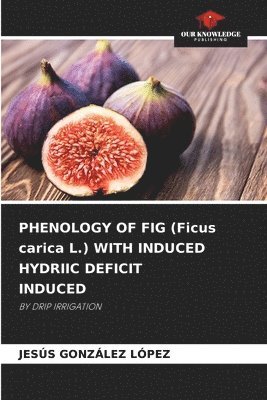 bokomslag PHENOLOGY OF FIG (Ficus carica L.) WITH INDUCED HYDRIIC DEFICIT INDUCED