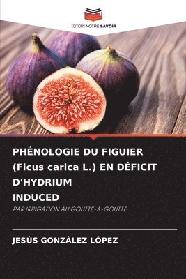 bokomslag PHÉNOLOGIE DU FIGUIER (Ficus carica L.) EN DÉFICIT D'HYDRIUM INDUCED