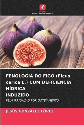 bokomslag FENOLOGIA DO FIGO (Ficus carica L.) COM DEFICIÊNCIA HÍDRICA INDUZIDO