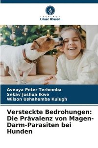 bokomslag Versteckte Bedrohungen