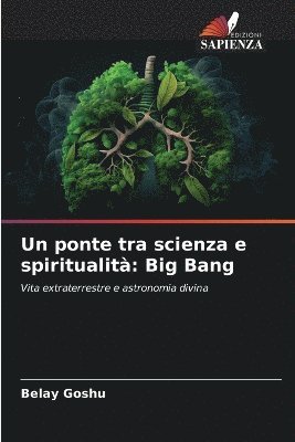 bokomslag Un ponte tra scienza e spiritualit