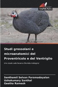 bokomslag Studi grossolani e microanatomici del Proventricolo e del Ventriglio