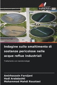 bokomslag Indagine sullo smaltimento di sostanze pericolose nelle acque reflue industriali