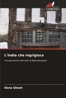 L'India che ingrigisce 1