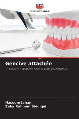 Gencive attachée 1