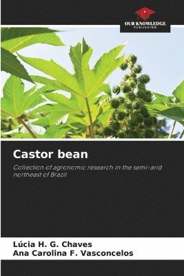 Castor bean 1