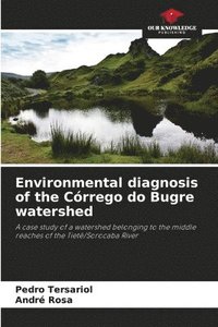 bokomslag Environmental diagnosis of the Crrego do Bugre watershed